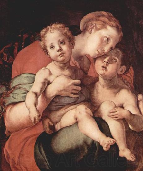 Jacopo Pontormo Madonna mit Johannes dem Taufer Spain oil painting art